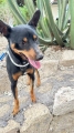 MATEO Imagen 1